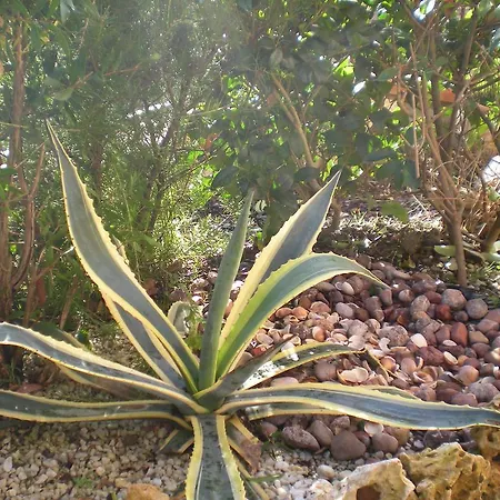 Il Toscano - Near Grotta Giusti Guest house Monsummano Terme